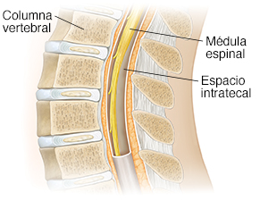 Persona vista de cintura para abajo con las manos sobre una mesa doblando una pierna hasta la altura de la rodilla.